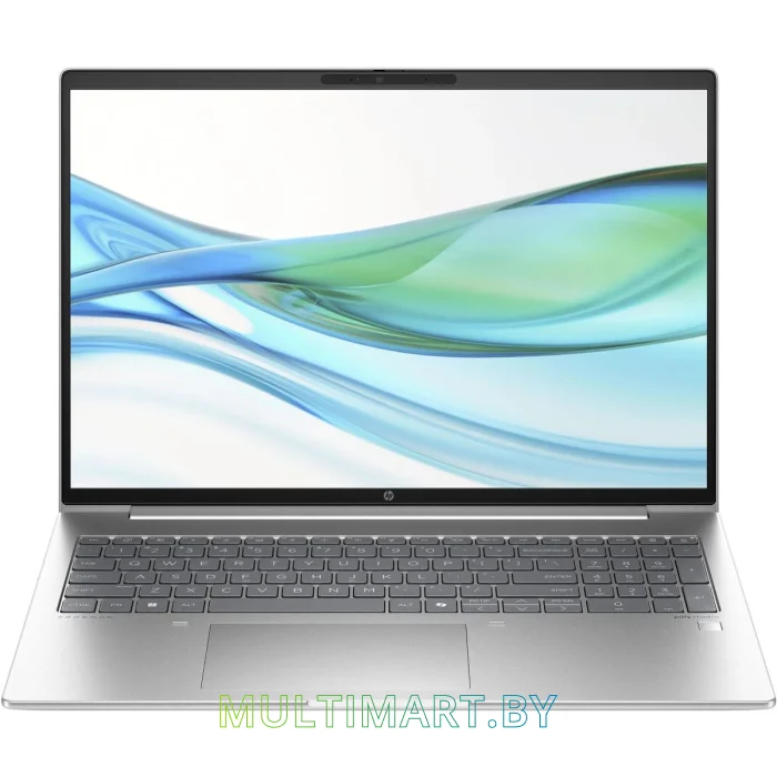 Ноутбук HP ProBook 460 G11 (A23BCEA)